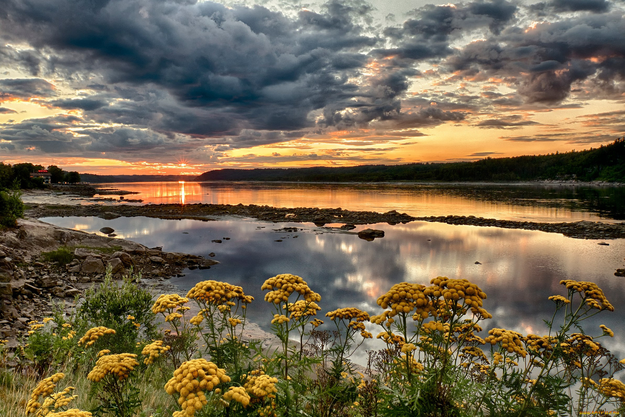 Эта удивительная природа 3. Вишера закат. Донецк РФ природа. Пейзаж цветы у озера фото Canon 5 d.